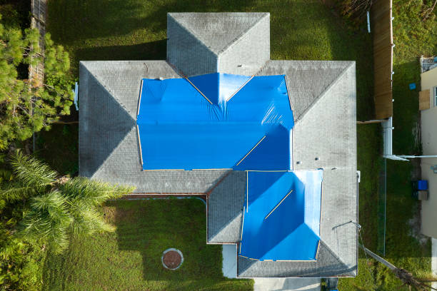 Best Roof Insulation Installation  in Pelion, SC